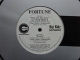 Fortune – Step Into The Zone / Rowdy (12")