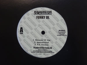 Funky DL – Because Of You / Wonderful (12")