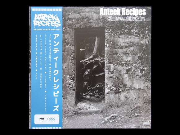 Anteek Recipes – Anteek Recipes (LP)