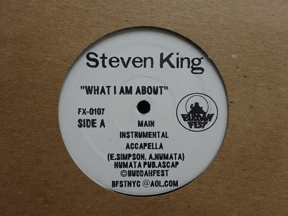Steven King – What I Am About / Fuck It (12