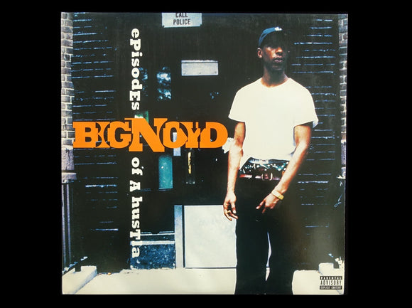 Big Noyd ‎– Episodes Of A Hustla (LP)