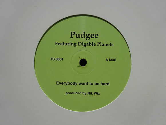 Pudgee – Everybody Want To Be Hard / Inner City Blues (12