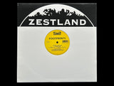 Footprints – Guard The Dome (Remix) / Pelan (12")