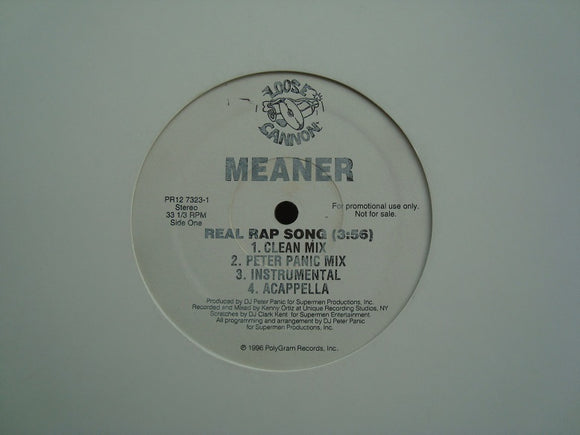 Meaner ‎– Real Rap Song (12