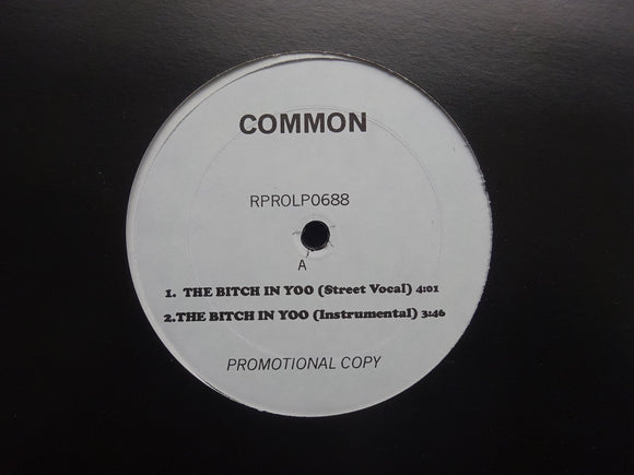 Common – The Bitch In Yoo / Reminding Me (Of Sef) (12