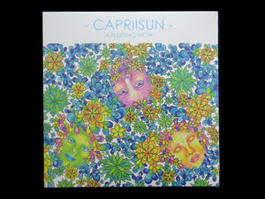 Capriisun ‎– A Fleeting Now (LP)