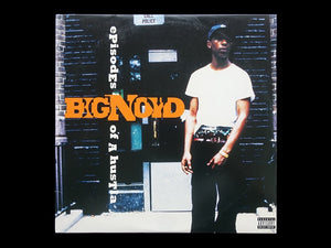 Big Noyd ‎– Episodes Of A Hustla (LP)