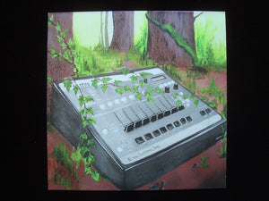 Funkonami ‎– Deep Into The Forest (LP)