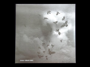 Sinks ‎– Cold Fury (2LP)