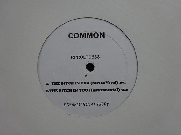 Common ‎– The Bitch In Yoo / Reminding Me (Of Sef) (12