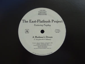 The East-Flatbush Project ‎– A Madman's Dream / Can't Hold It Back (12")